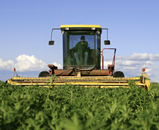 FoodAgricultureBanner-small.png